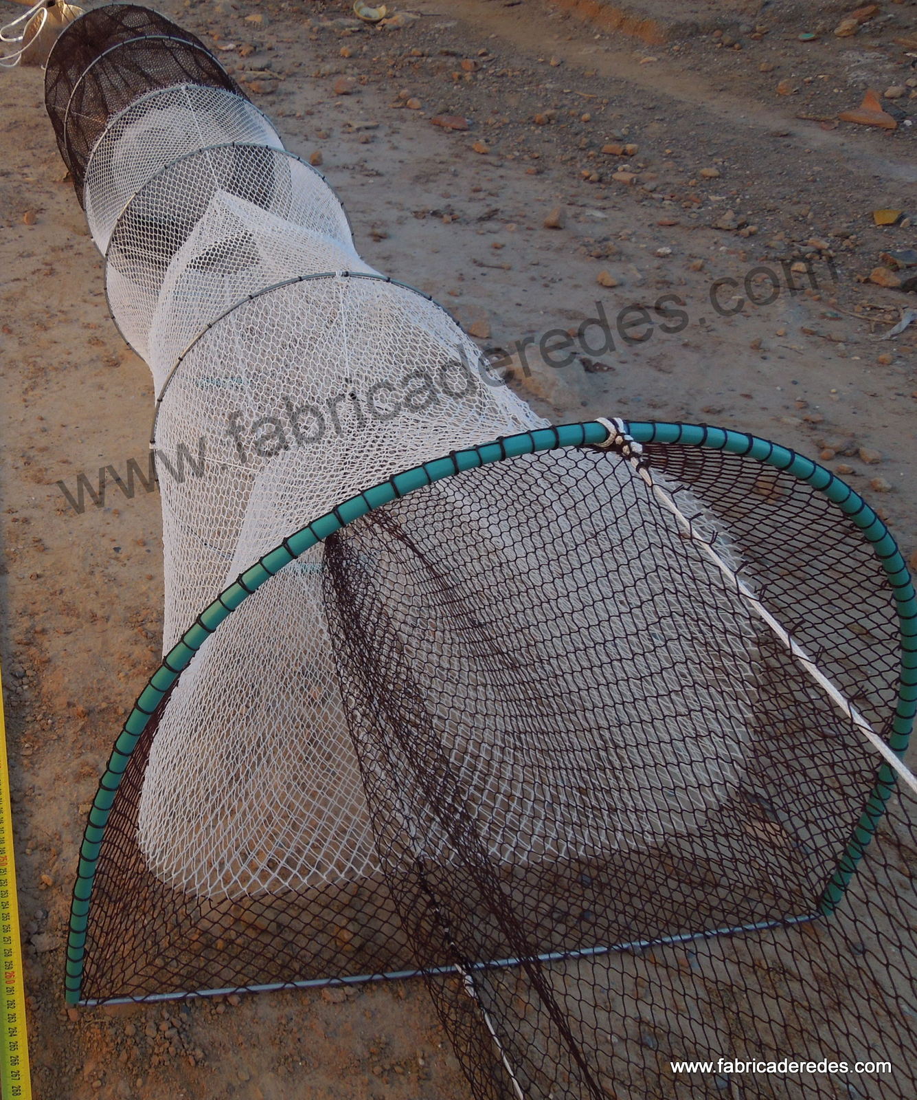 Entrada o boca de la nasa anguilera