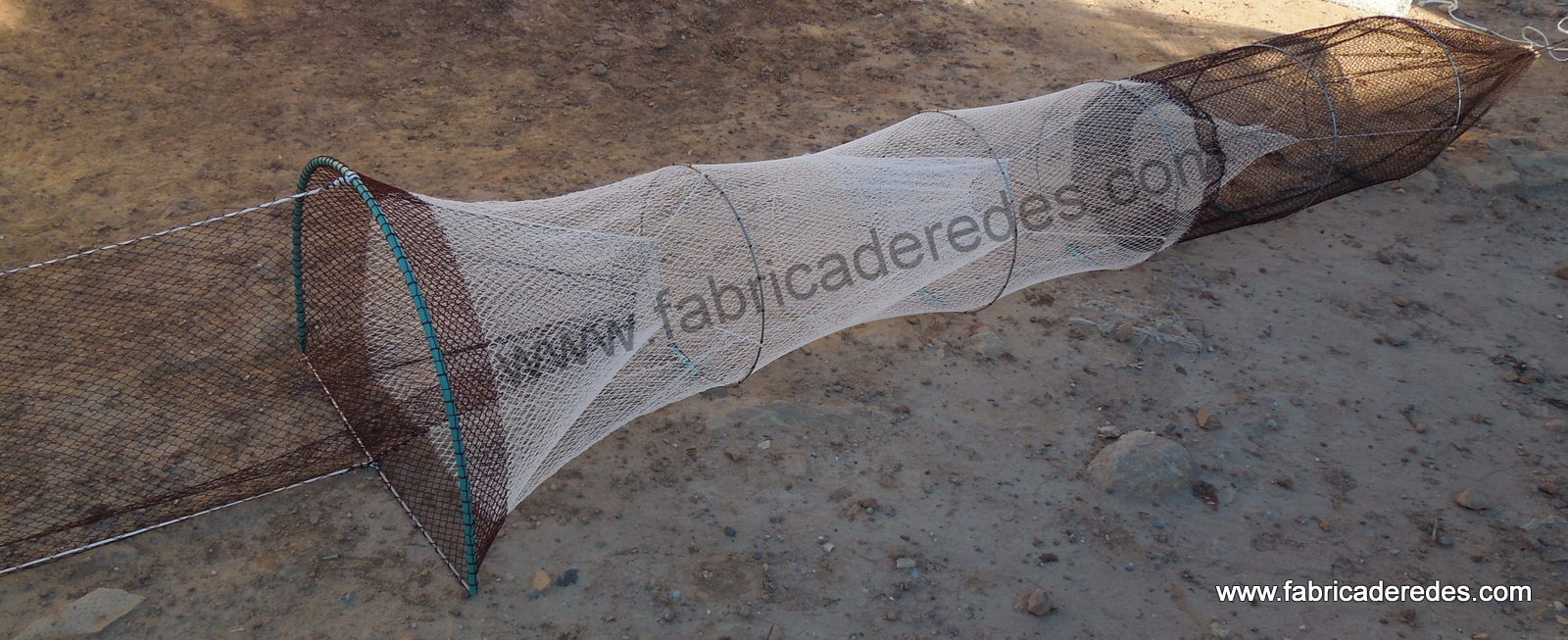 Nasa anguilera con 5 aros