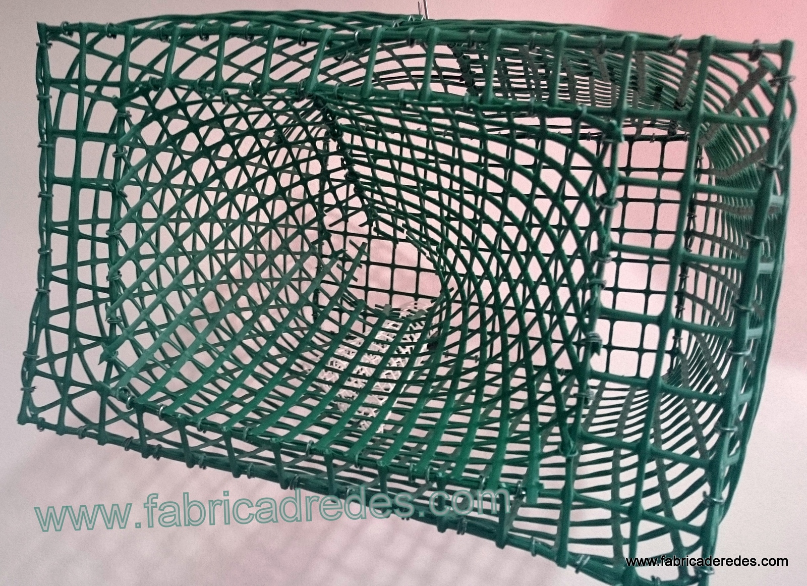 Nasa profesional pesca sepia, jibia o choco.