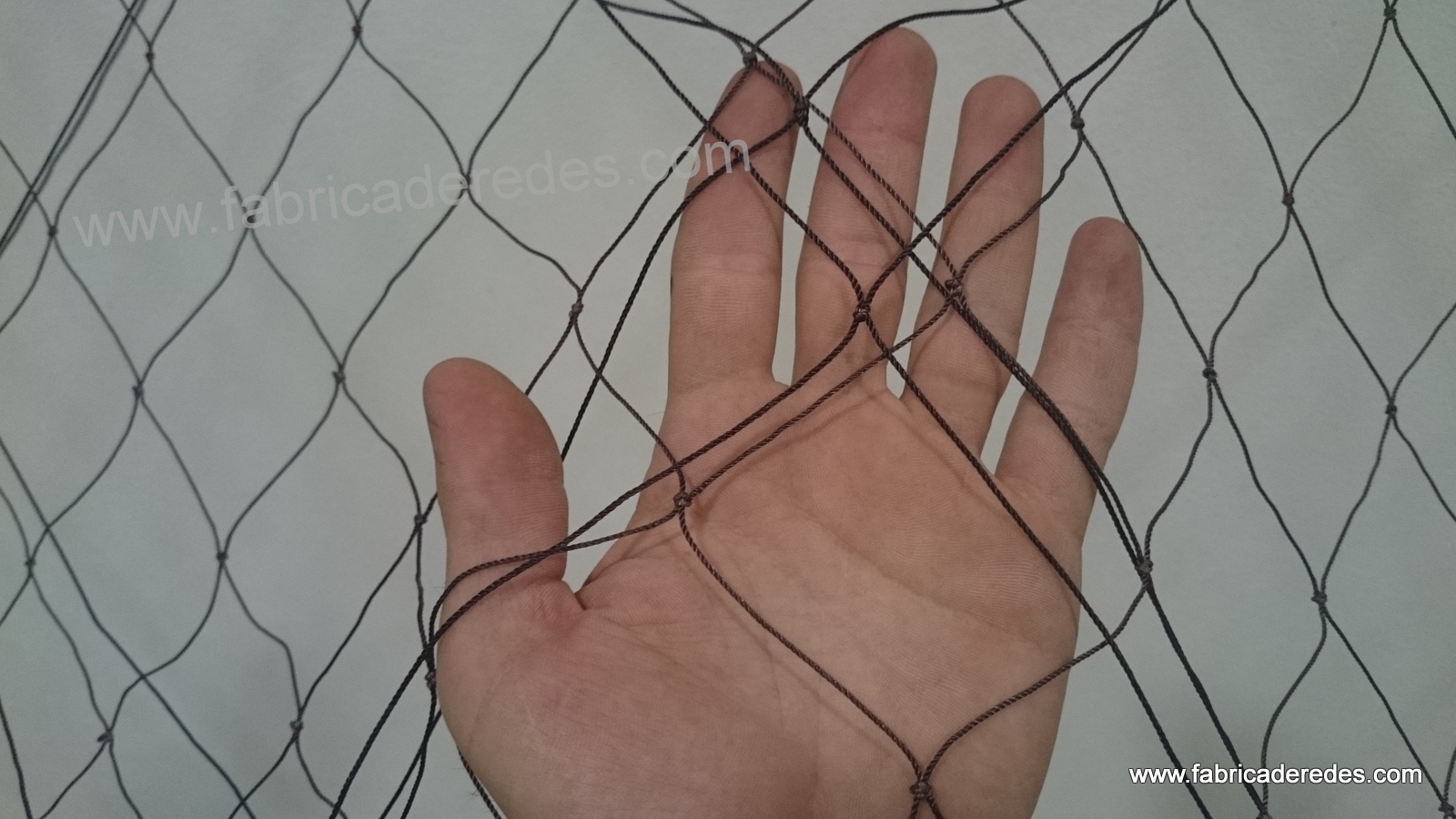 Trasmallo langosta 3 pasas y 20 mallas