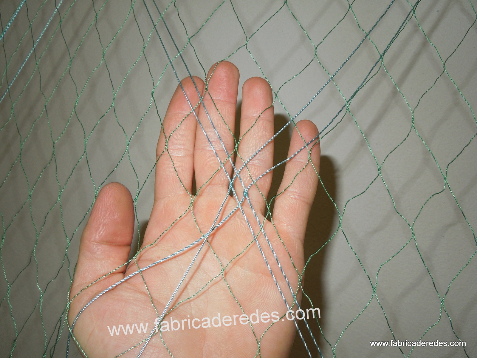 trasmallos profesional pesca sepia con albitanas