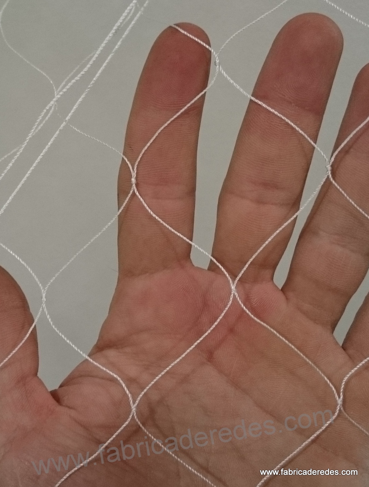 Trasmallo pesca sepia hilo 6000